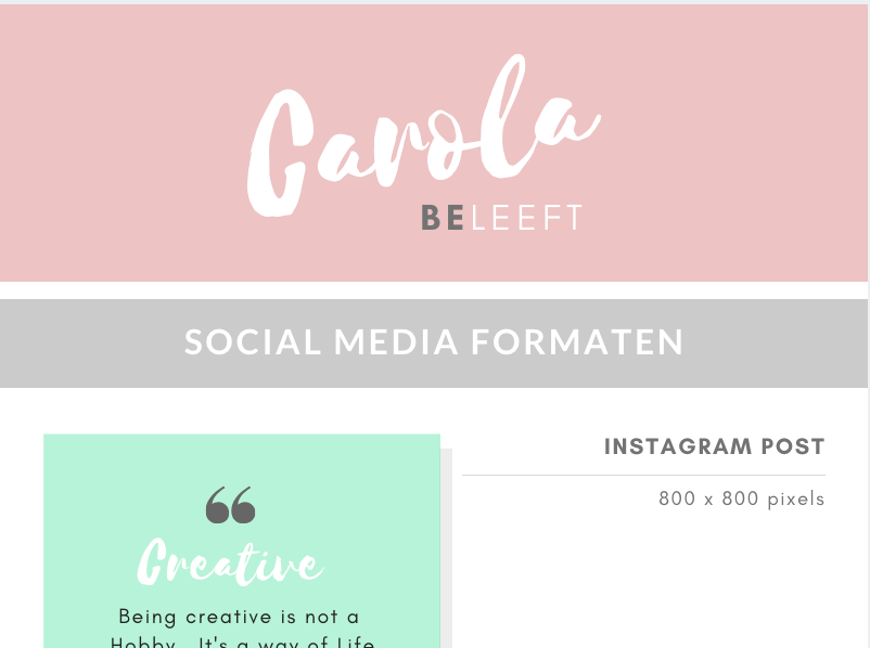 Cheat sheet Social media afbeeldingen