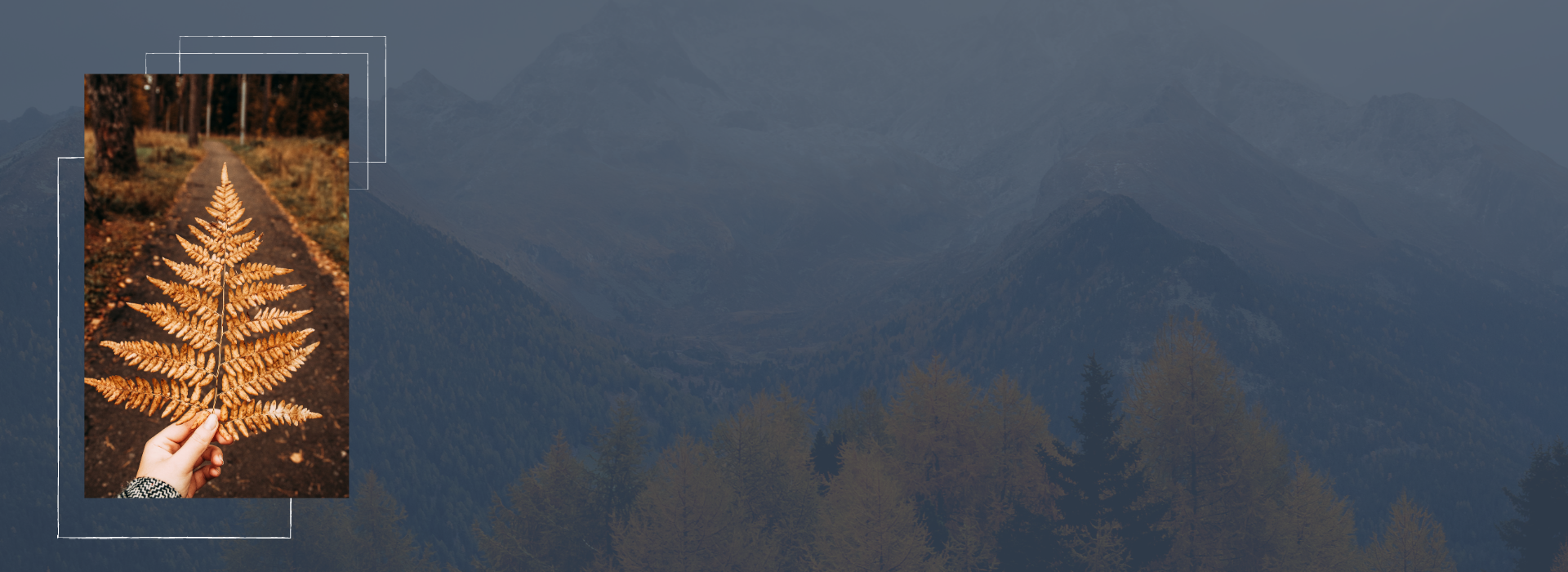 Template shop - Xavi blue website header