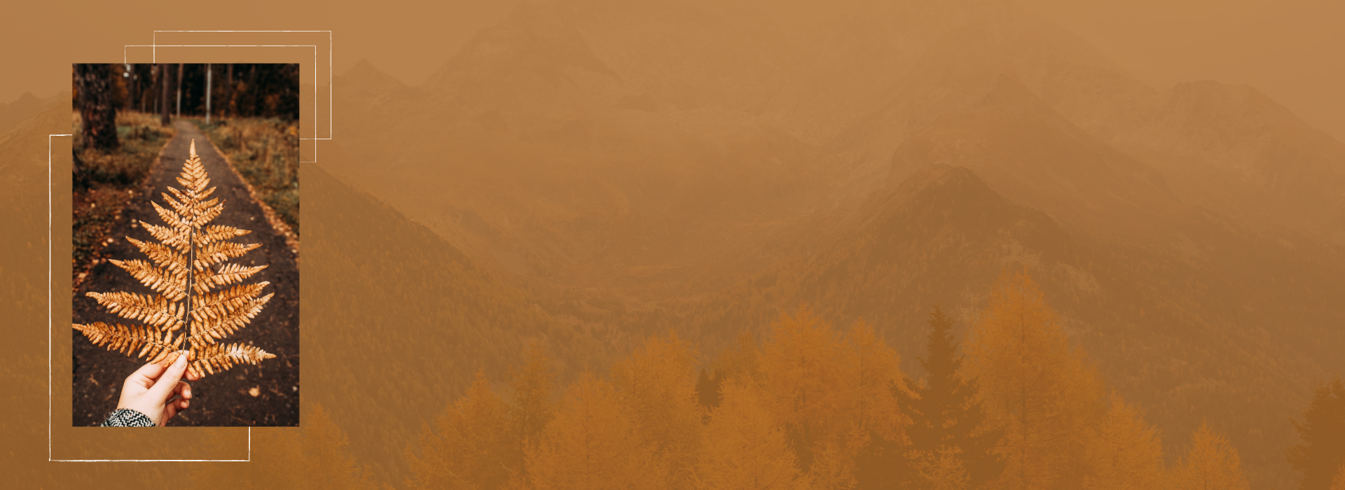 Template Shop -Xavi blue (okergeel)