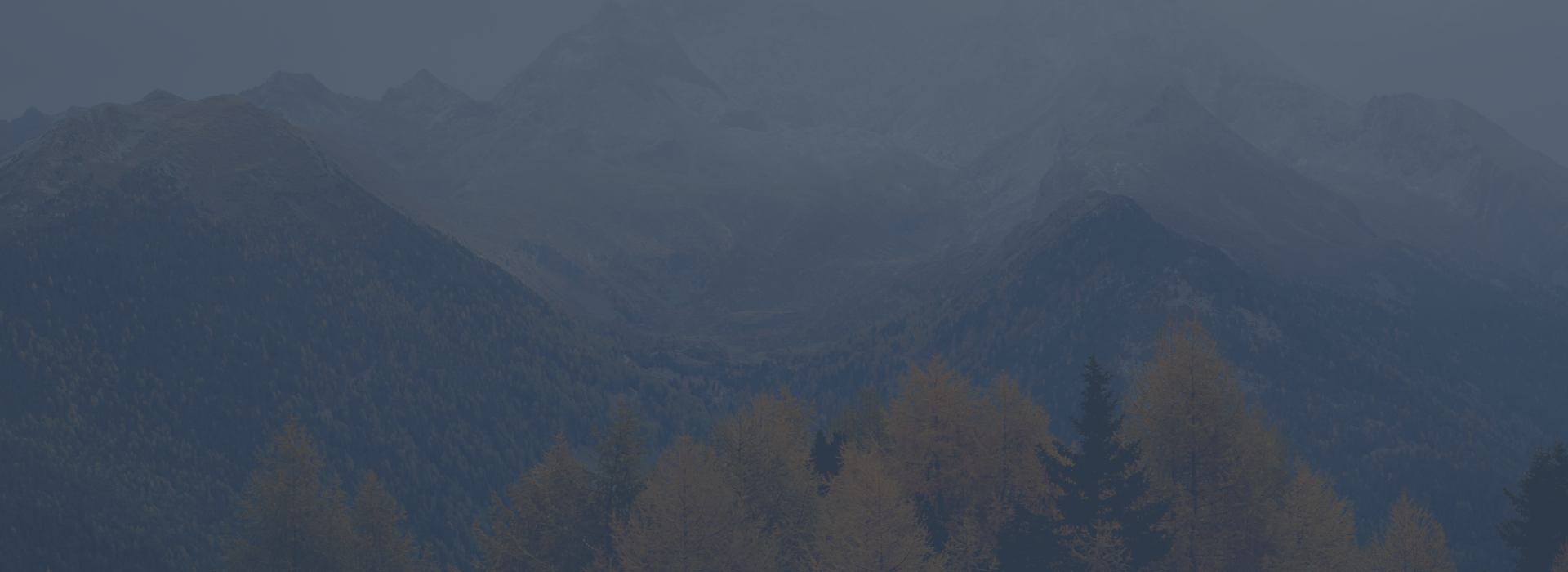 Template Shop - Xavi Blue_ Website Header